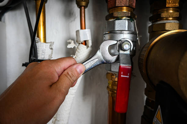 Best Local Plumber Services  in Northwoods, MO